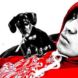 Cover of Falsos yo ando pancho