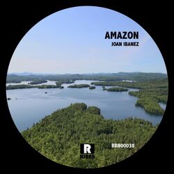 Cover of Amazon