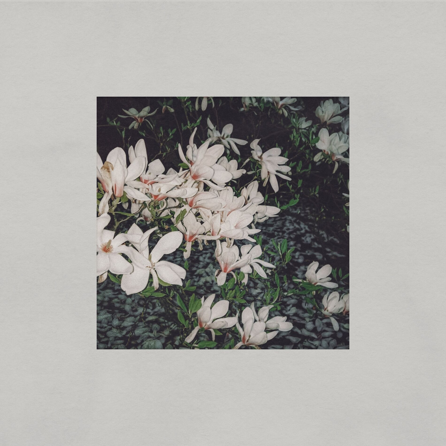 Album cover of The Mess We Made