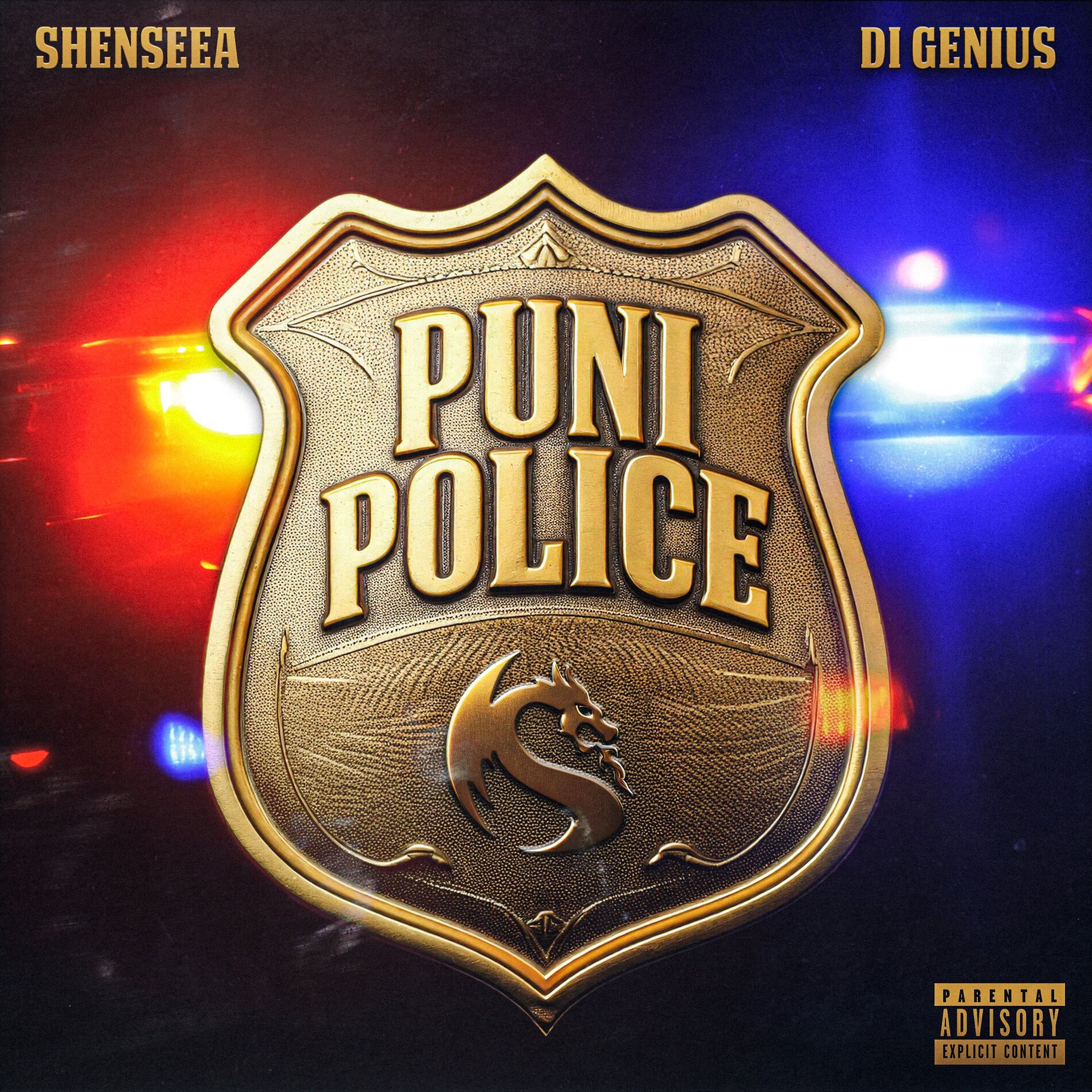 Album cover of Puni Police