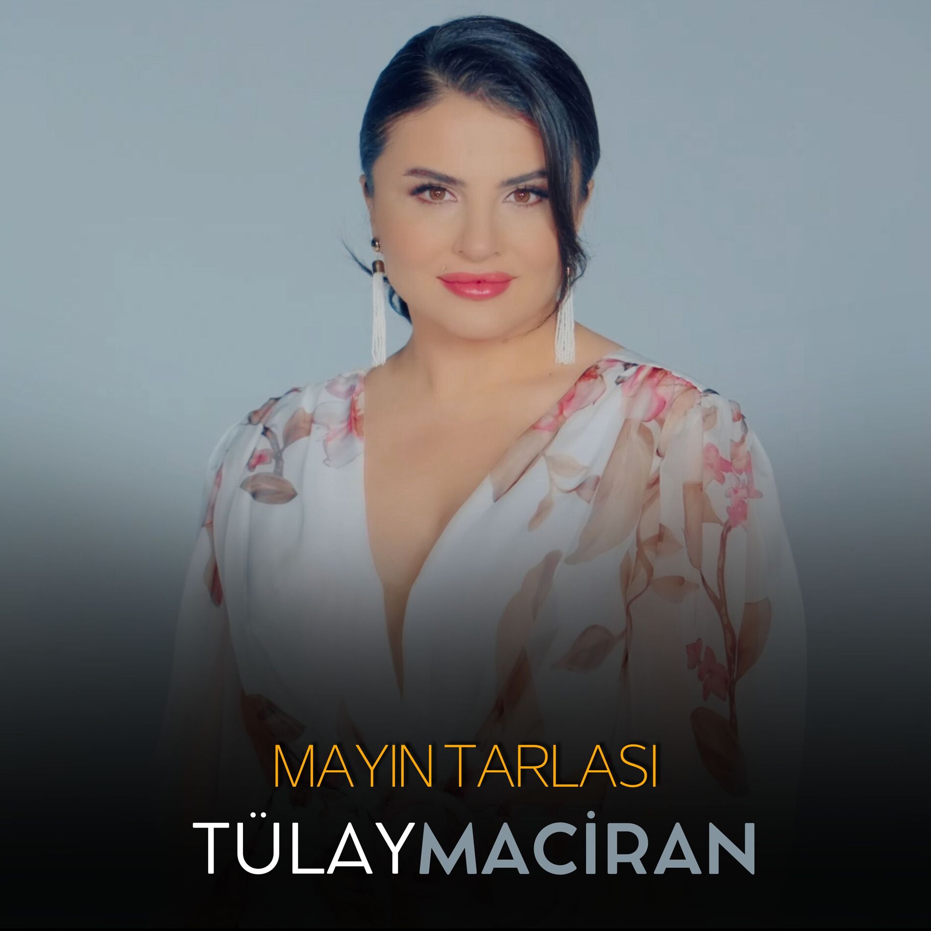 Album cover of Mayın Tarlası