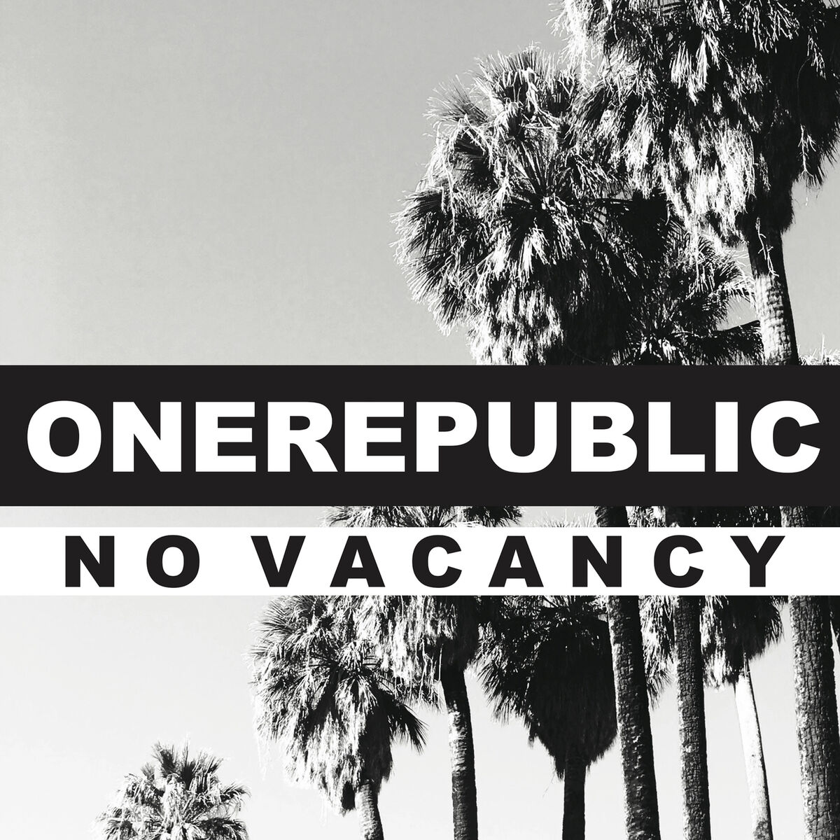 Album cover of No Vacancy