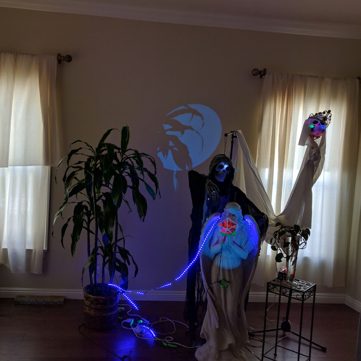 Album cover of Soft Rules