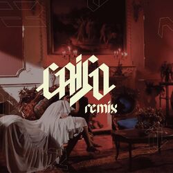 Cover of Caigo (Remix)