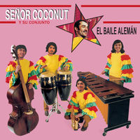 洋楽 SENOR COCONUT / RICARDO VILLALOBOS / YMO Señor Coconut - Electrolatino (Ricardo Villalobos' 'Lecktro