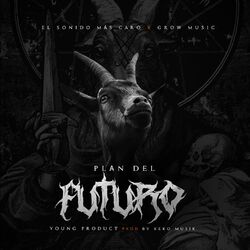 Cover of Plan del Futuro