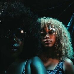 Cover of Favor