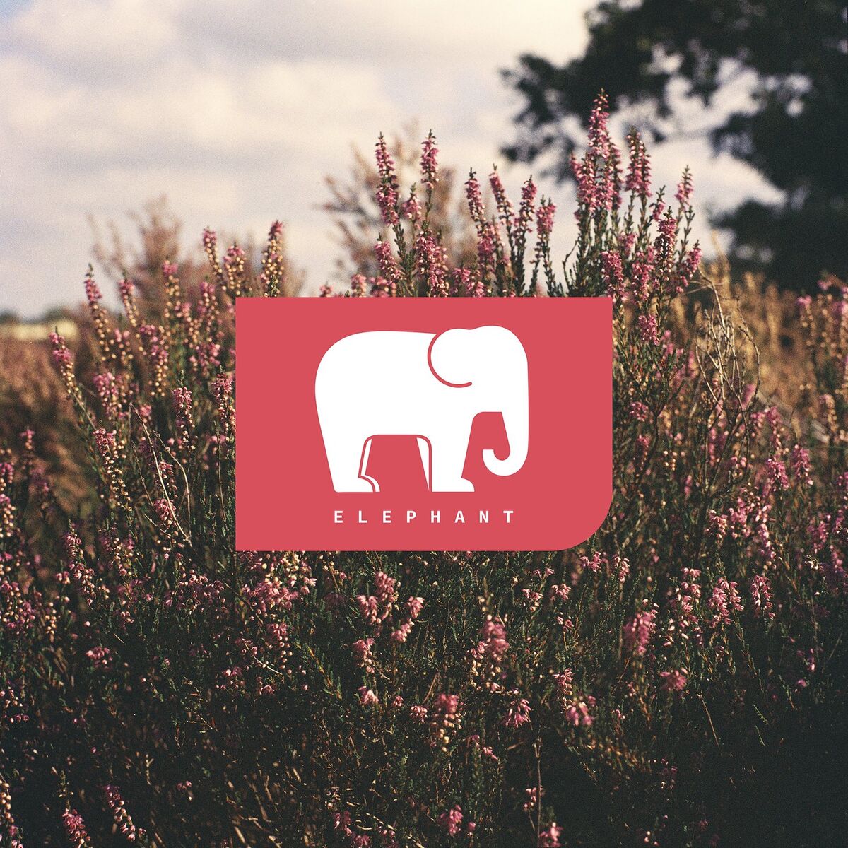 Album cover of Elephant