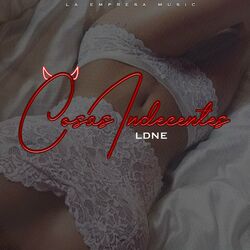 Cover of Cosas Indecentes