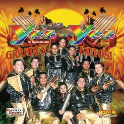 Cover of Grandes Exitos Vol. 2