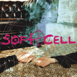 Cover of Cruelty Without Beauty