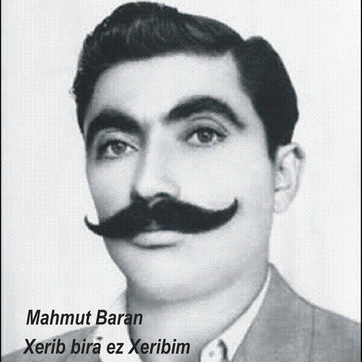 Album cover of Xerîb Bira Ez Xerîbim (50 Yıl Sonra)