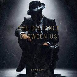 Cover of The Distance Between Us