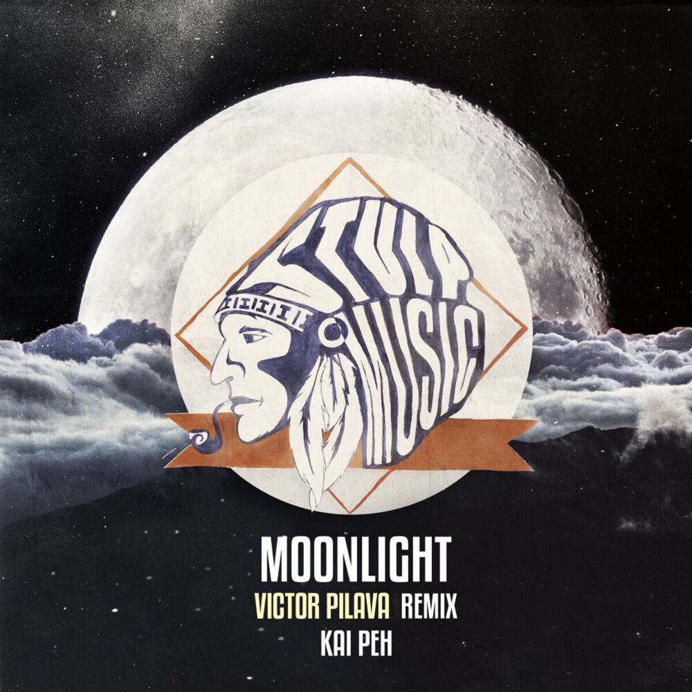 Picture of Moonlight (Victor Pilava Remix)