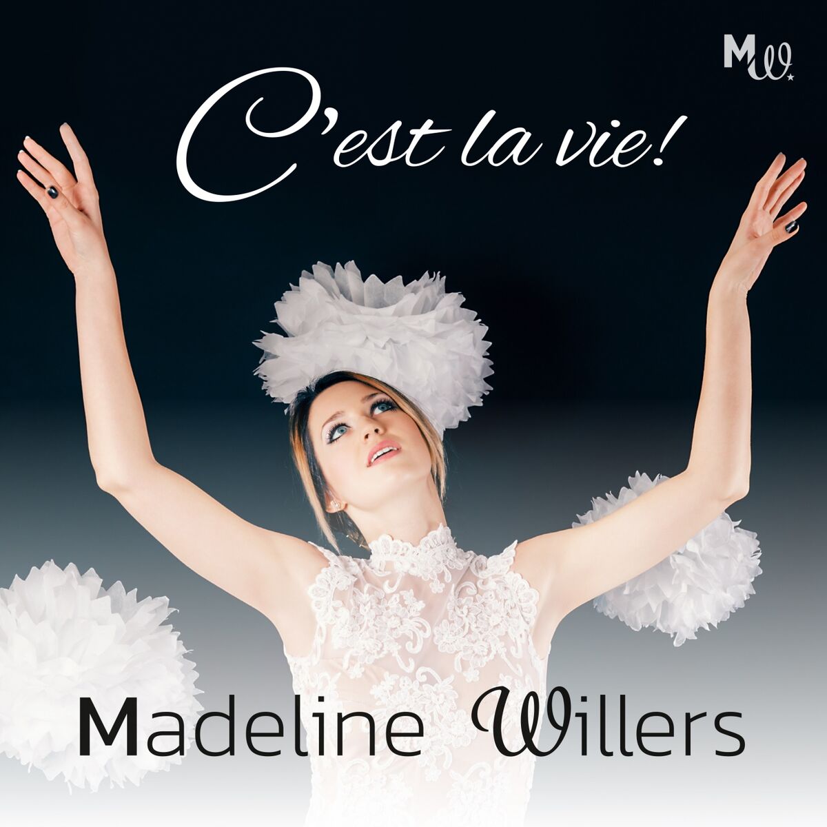 Album cover of C'est la vie