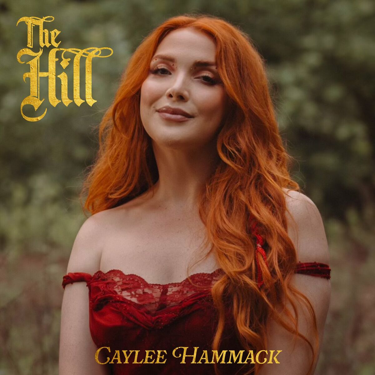 Album cover of The Hill