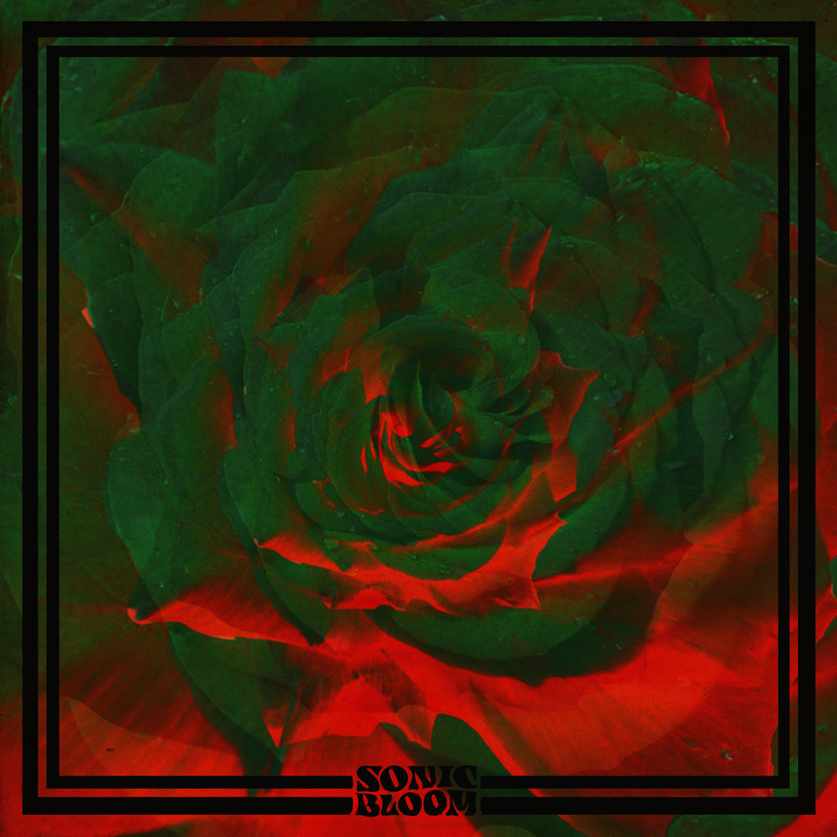 Album cover of Love Ain't Strange (Everything Else Is)