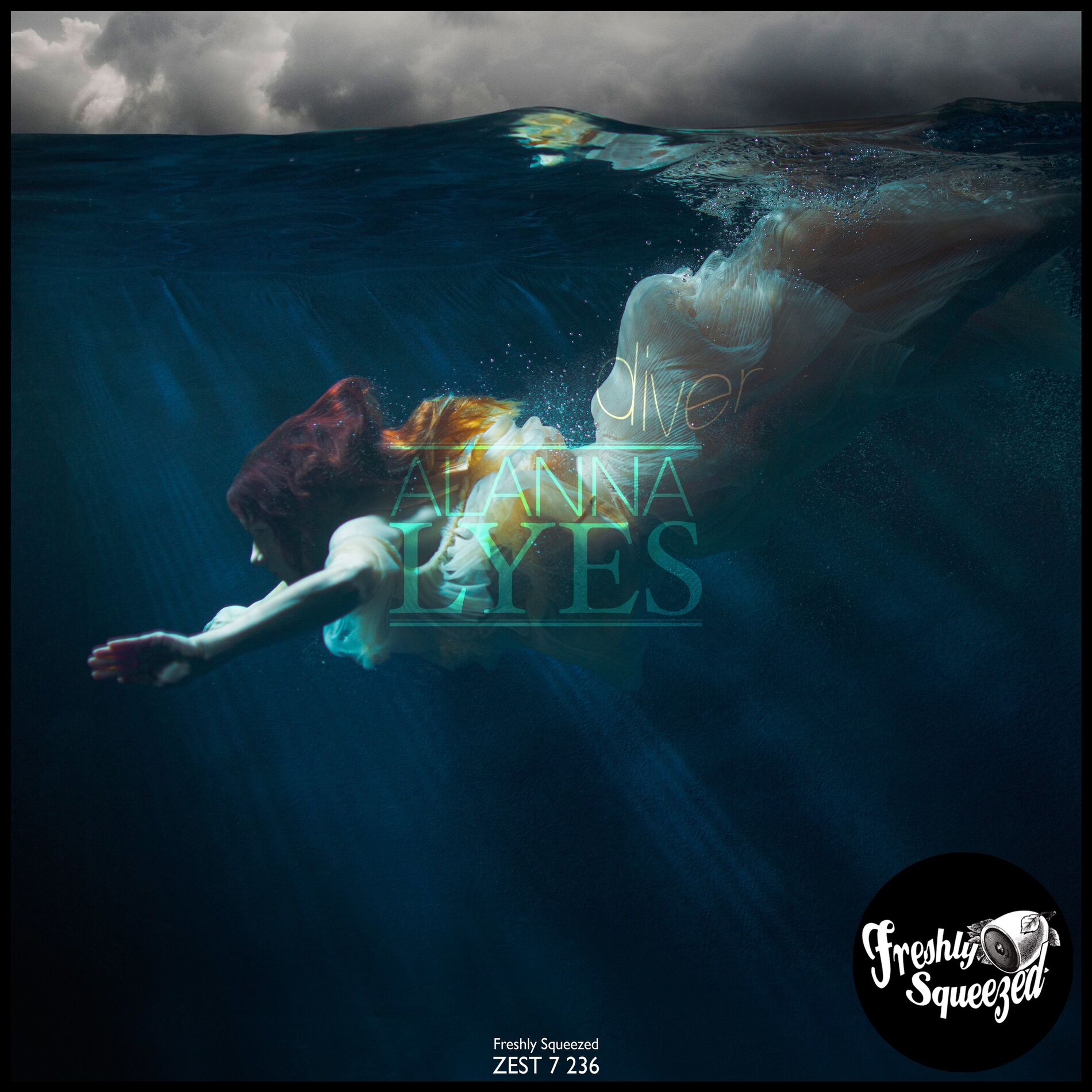 Album cover of Diver