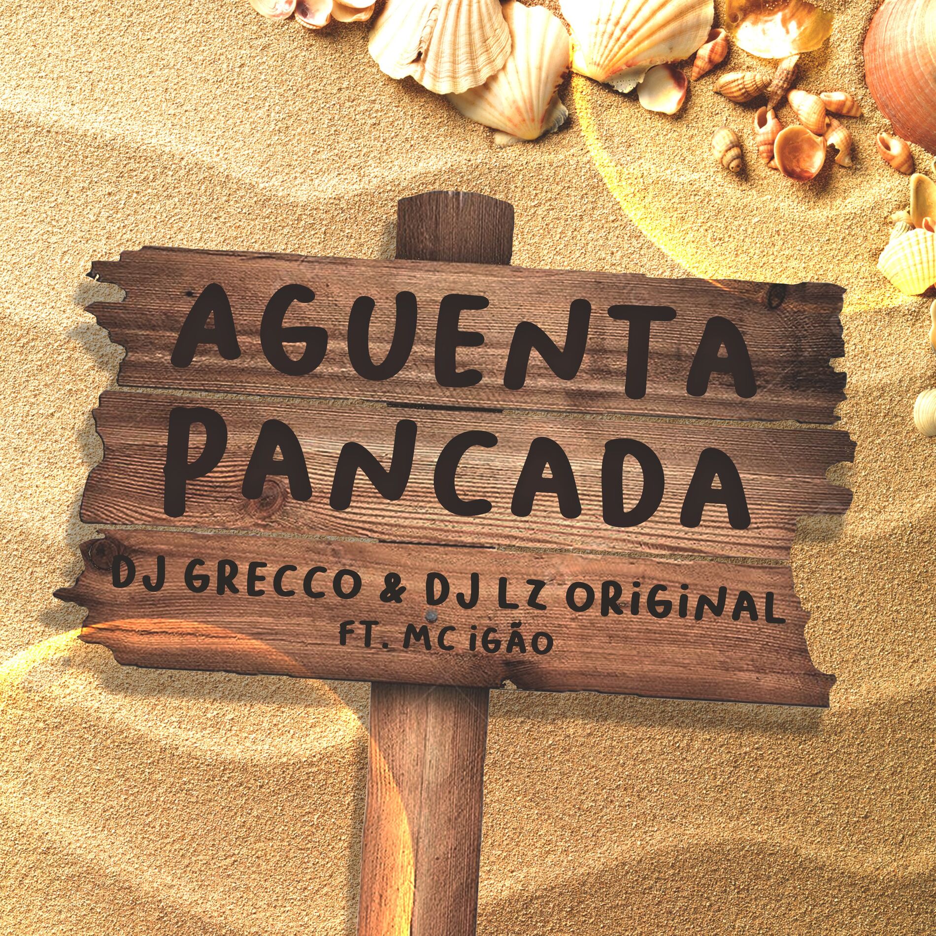 Album cover of Aguenta Pancada