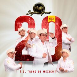 Cover of 20 Años