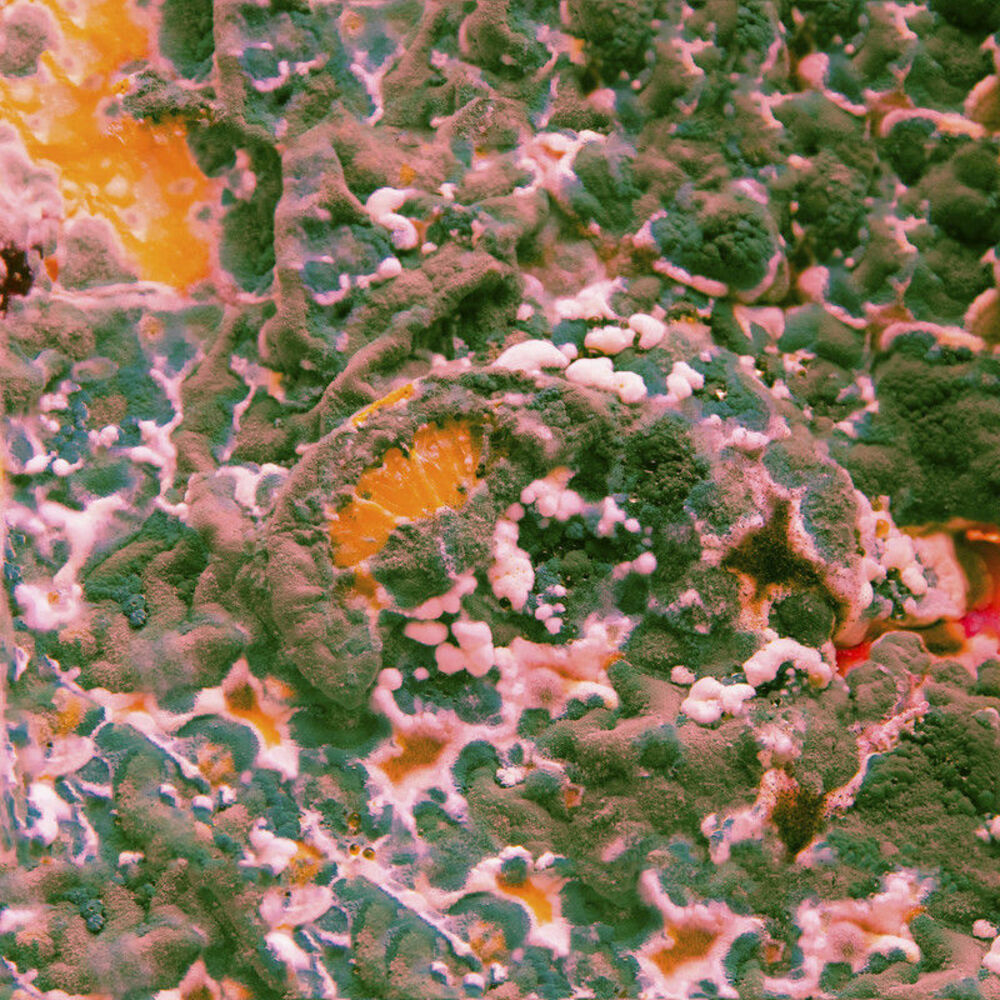Picture of Sugar Blind EP