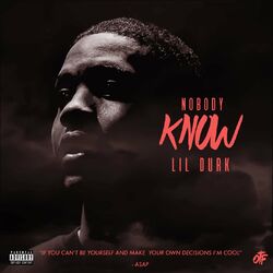 Cover of Nobody Know