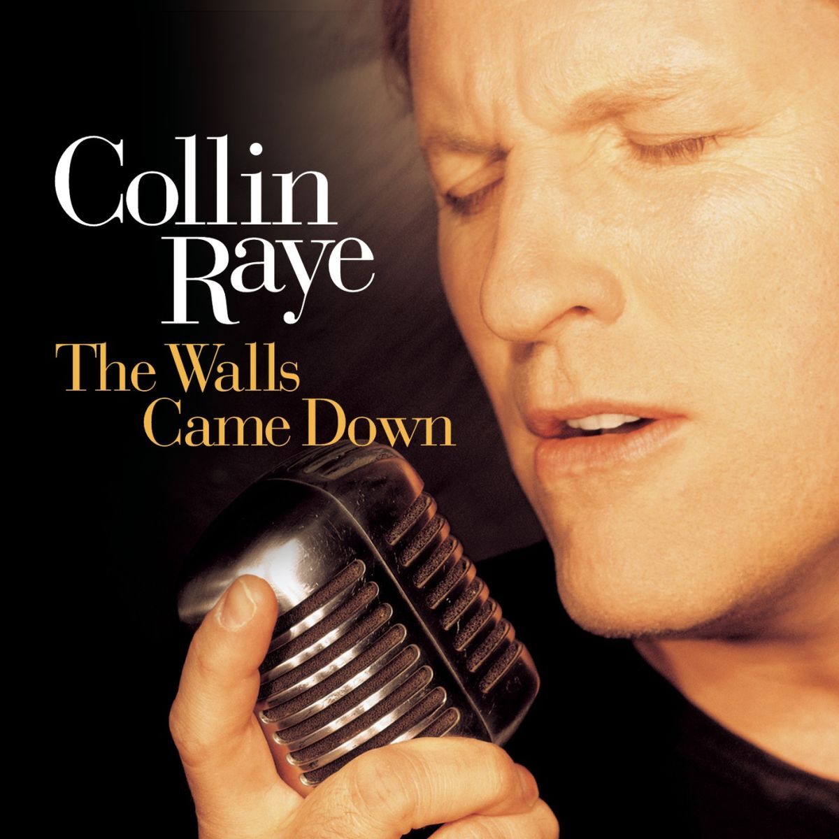 Album cover of The Walls Came Down