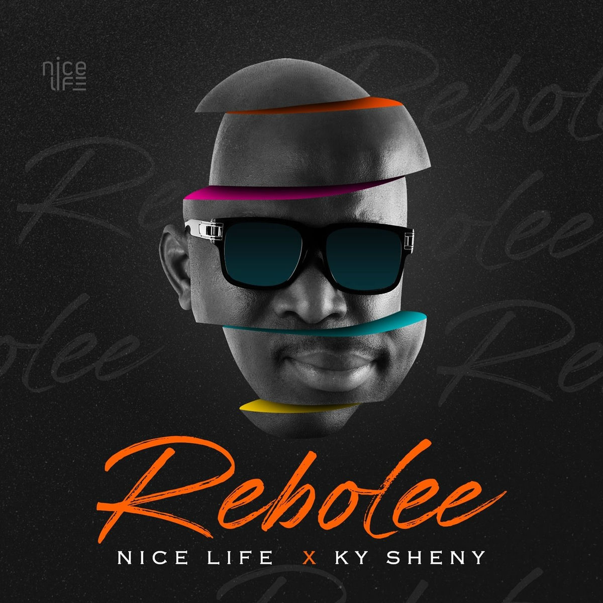 Album cover of Rebolee