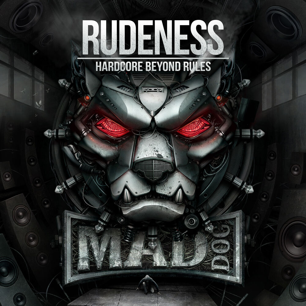 Picture of RUDENESS - Hardcore beyond rules