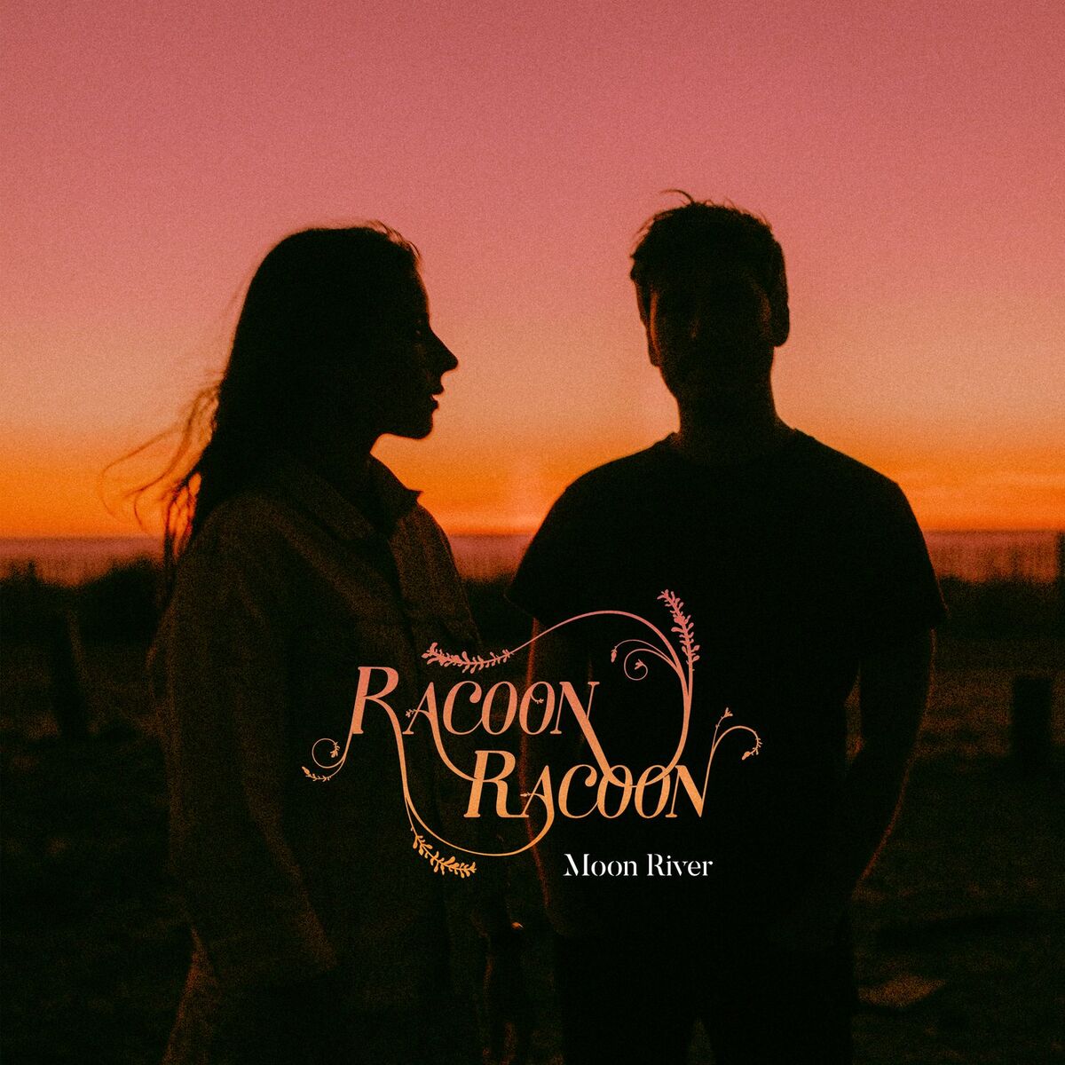 Album cover of Moon River