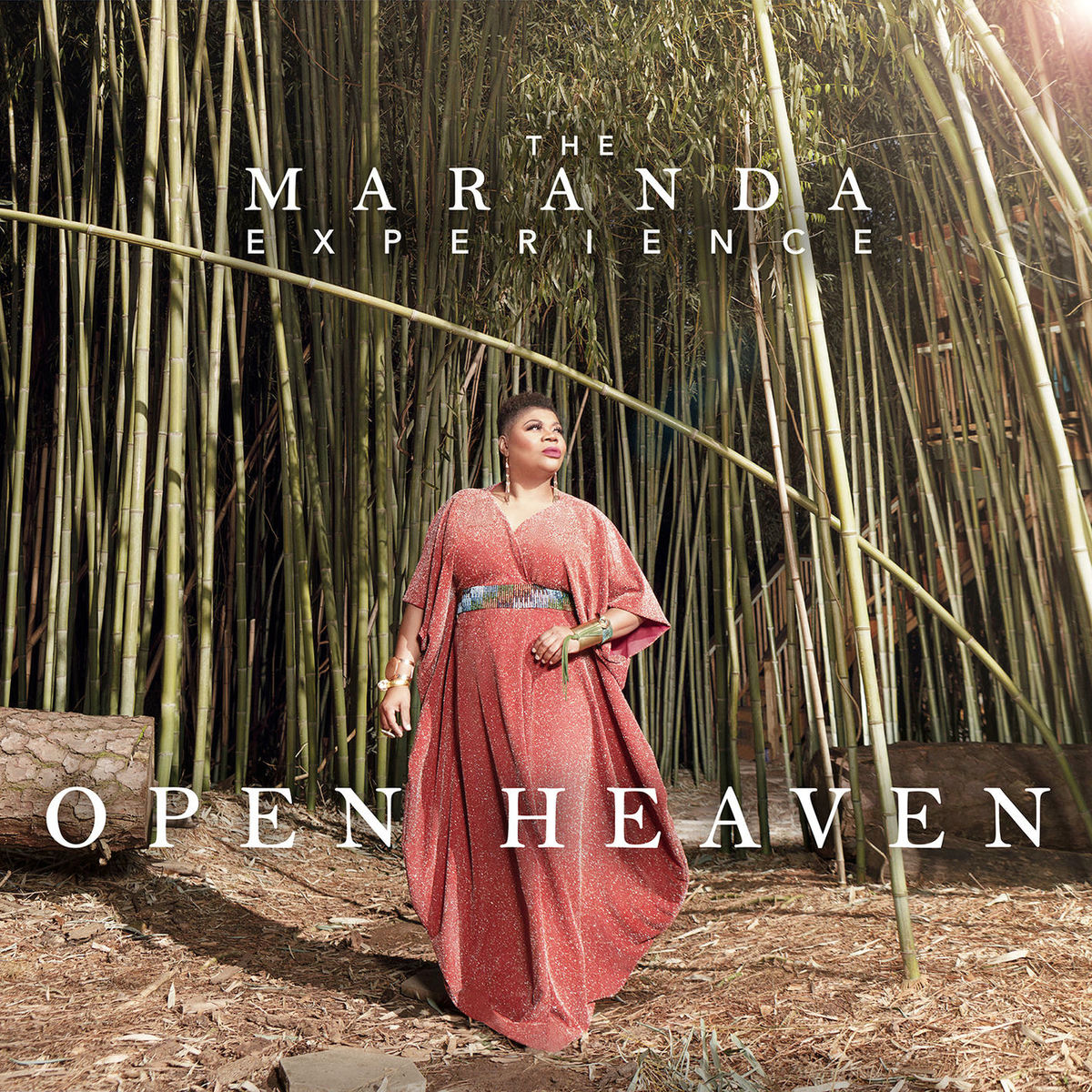 Album cover of Open Heaven (Live)