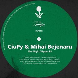 Cover of The Night Tripper EP