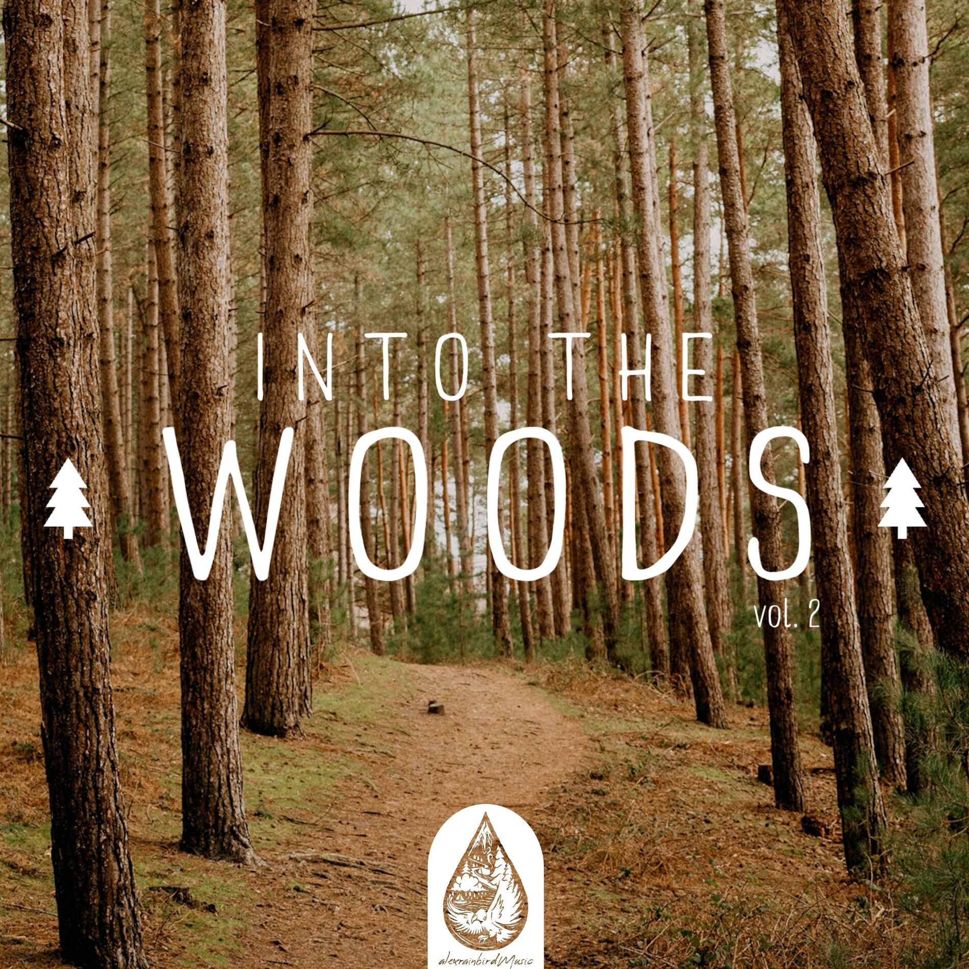 Album cover of Into the Woods Vol. 2 (Alexrainbirdmusic)