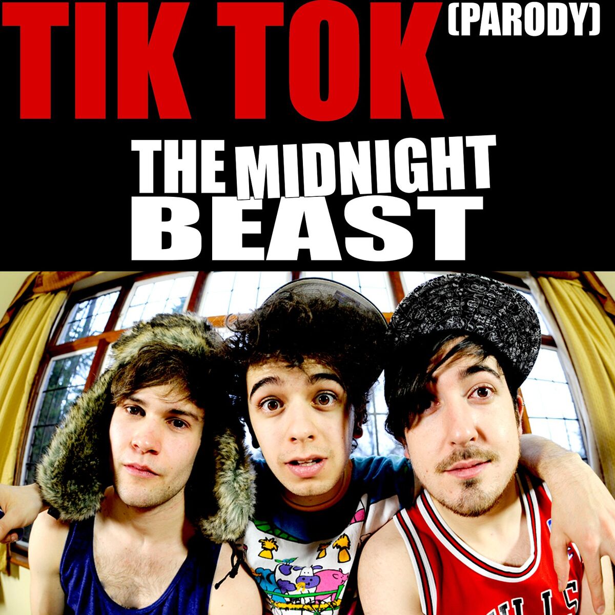 Album cover of Tik Tok (Parody)