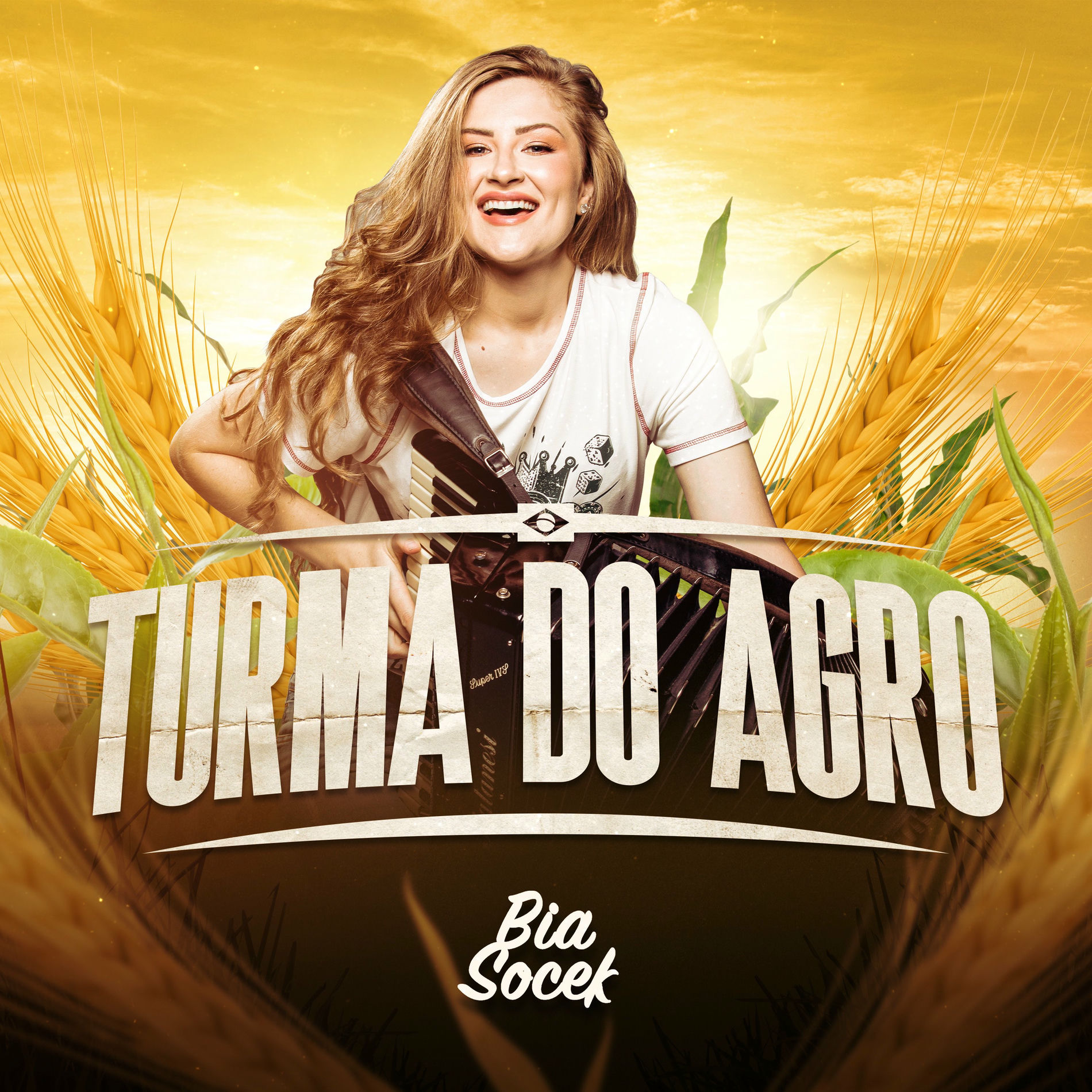 Album cover of Turma do Agro