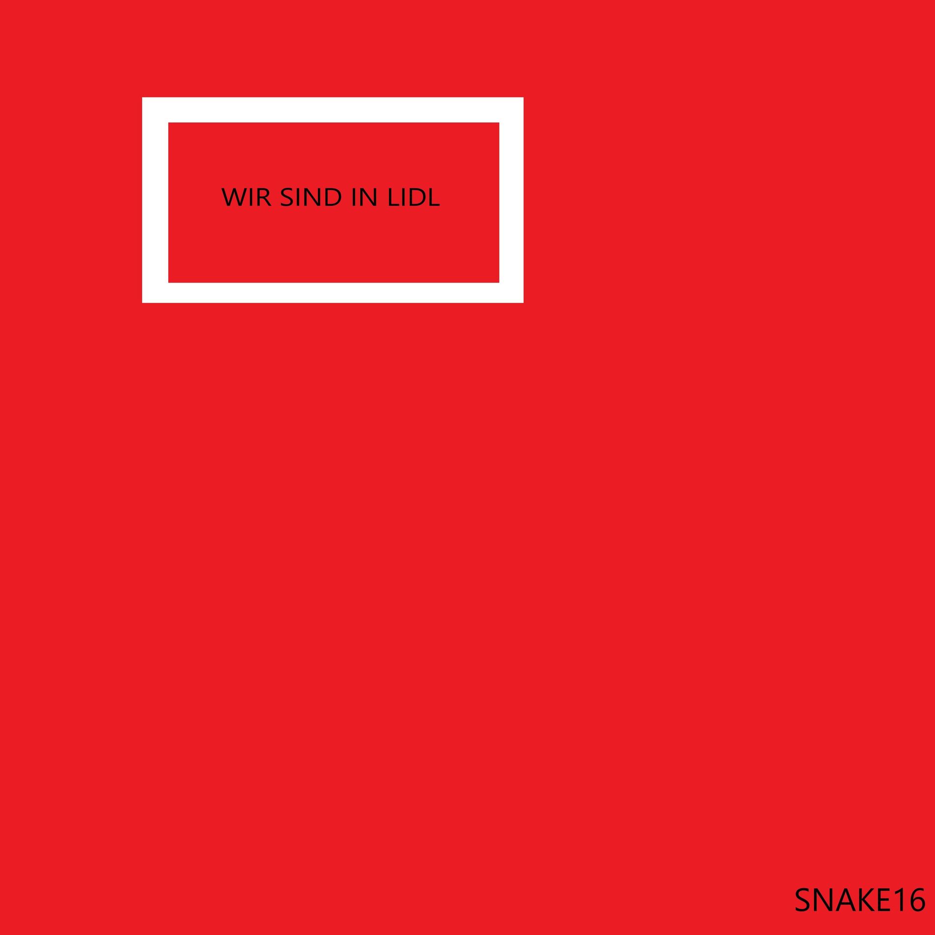 Album cover of WIR SIND IN LIDL
