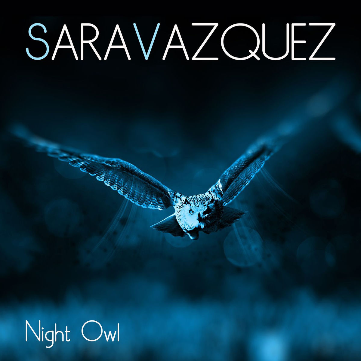 Album cover of Night Owl
