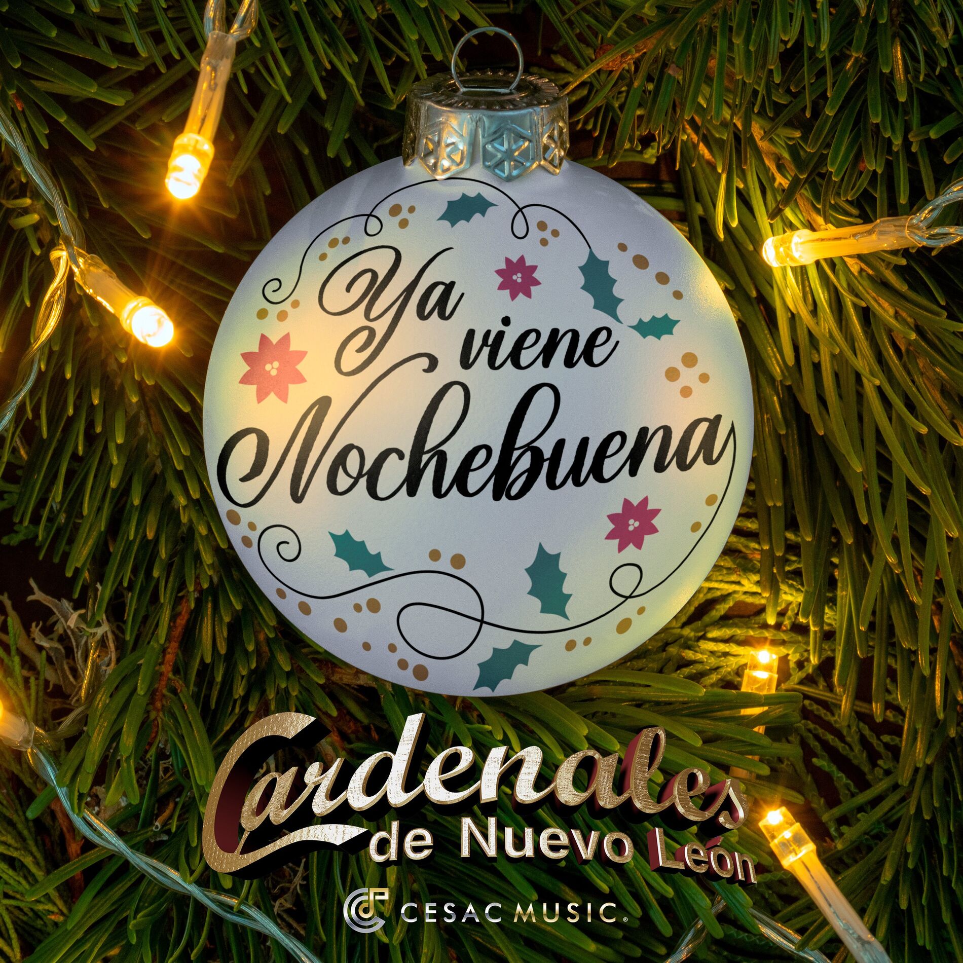 Album cover of Ya Viene Nochebuena