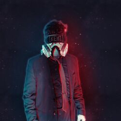 Cover of Re-Extension