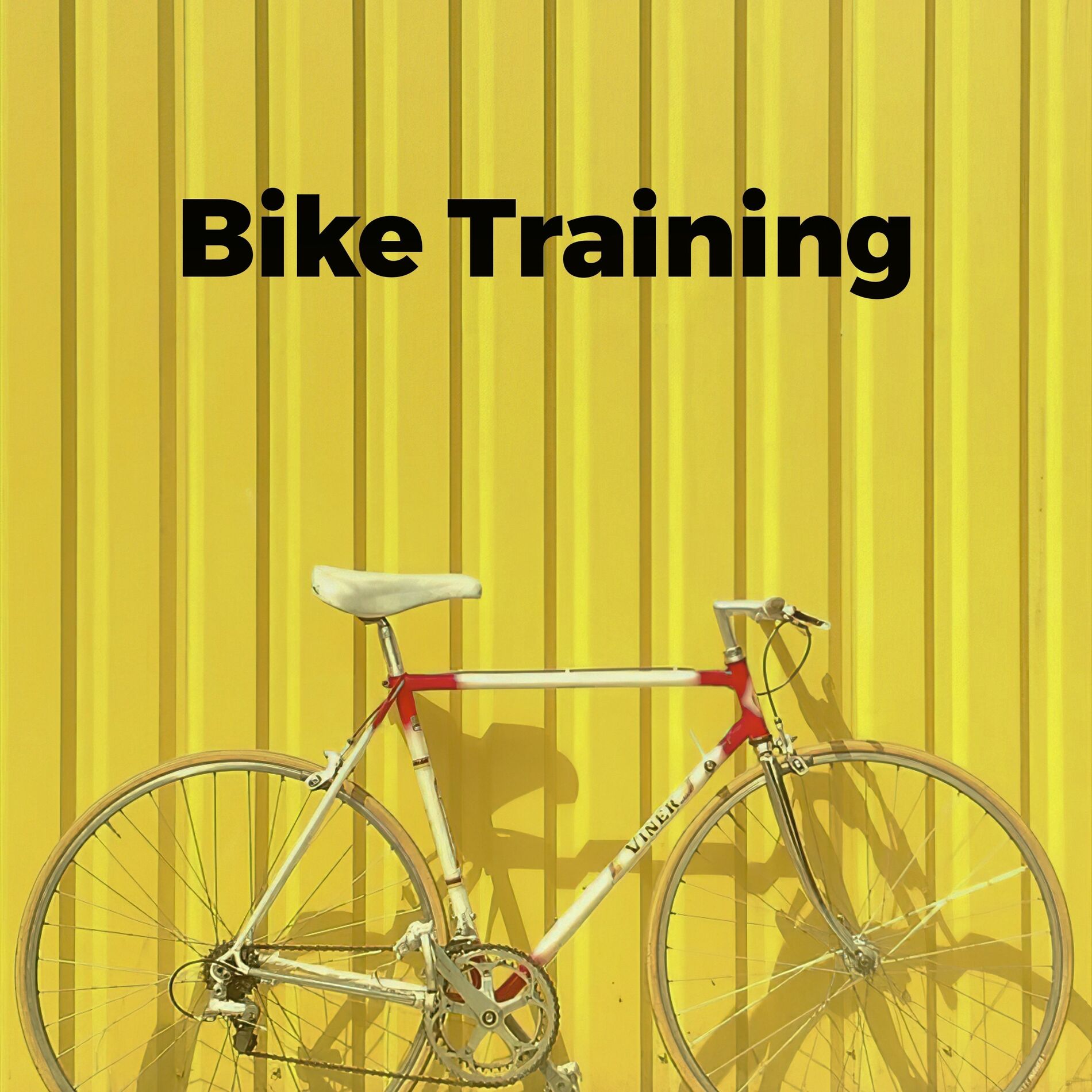Album cover of Bike Training
