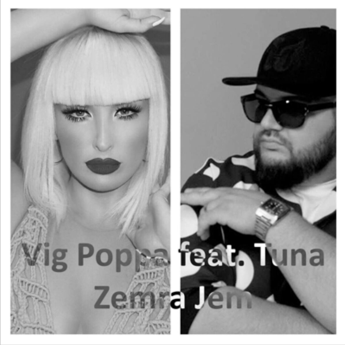 Album cover of Zemra Jem