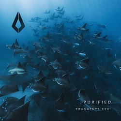 Purified Fragments XXXI