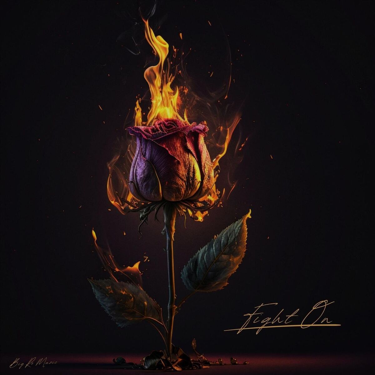 Album cover of Fight On