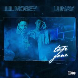 Cover of Top Gone