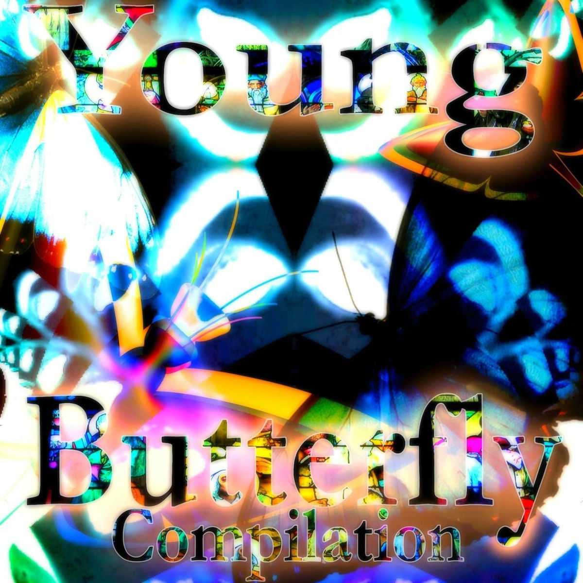 Album cover of Young Butterfly : Compilation