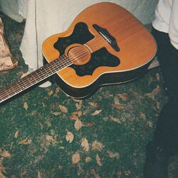 Cover of Faithful Hands