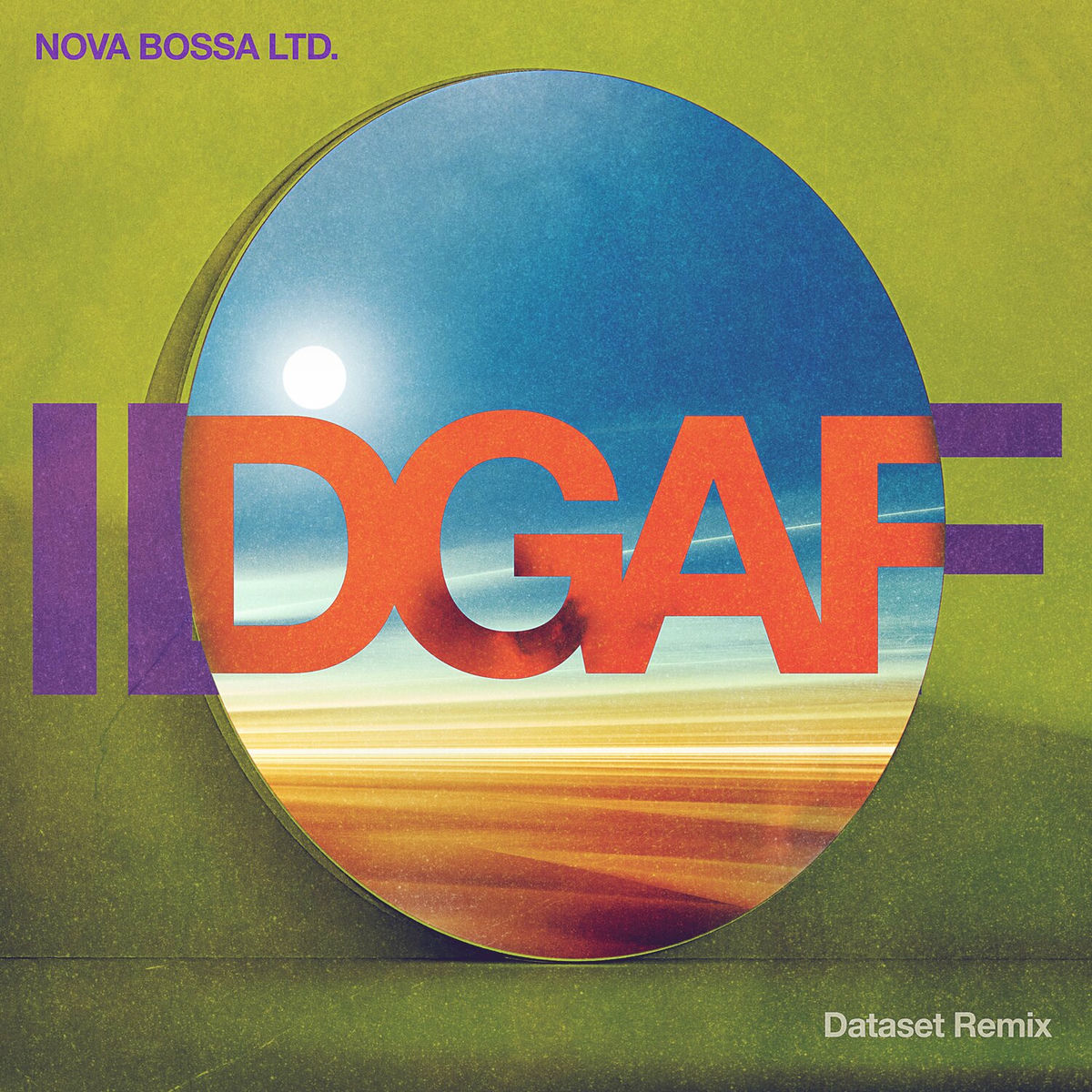 Album cover of IDGAF (Dataset Remix)