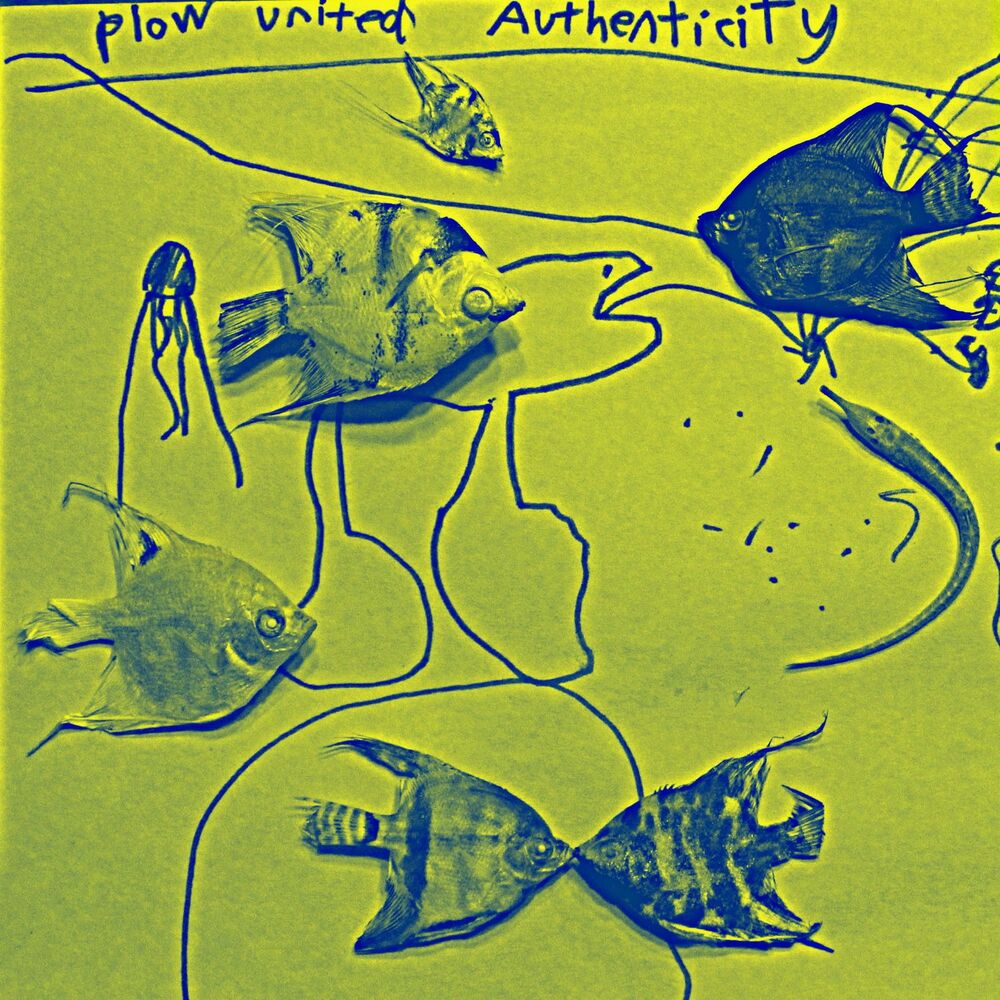 Picture of Authenticity