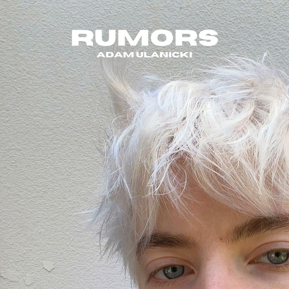 Album cover of Rumors