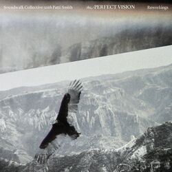 Cover of The Perfect Vision Reworkings